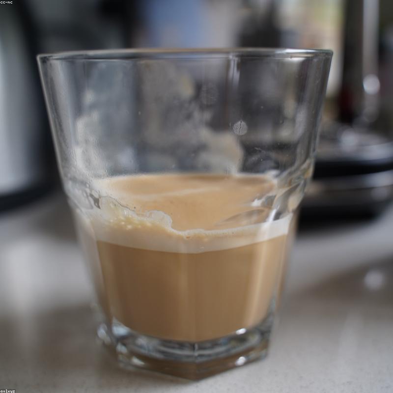 Brew Master Pro espresso machine